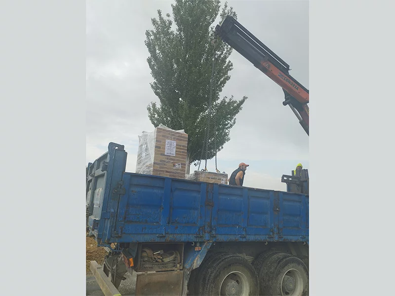 SISTEMA DE TRANSPORTE POR GRUA (PATENTADO)